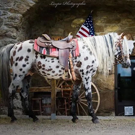 Landsted Ranch Du Haut-languedoc La Salvetat-sur-Agout