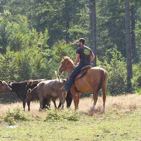 Ranch Du Haut-languedoc *