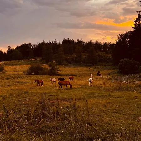 Ranch Du Haut-languedoc La Salvetat-sur-Agout
