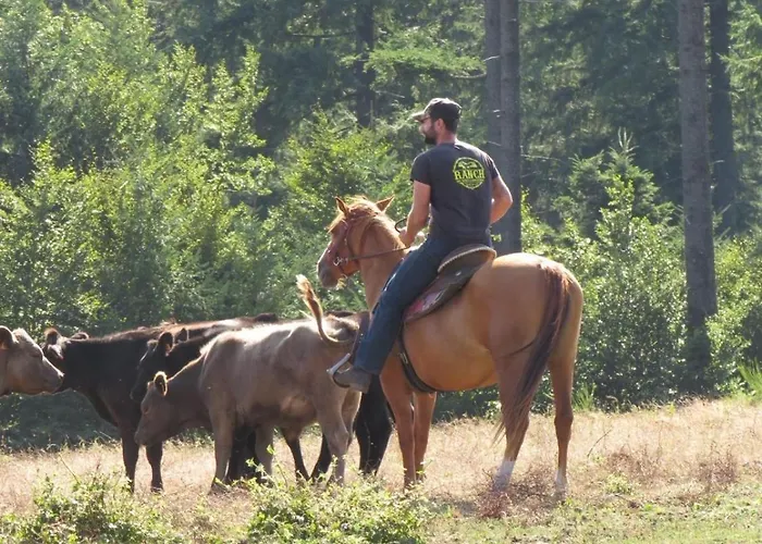 Ranch Du Haut-languedoc *