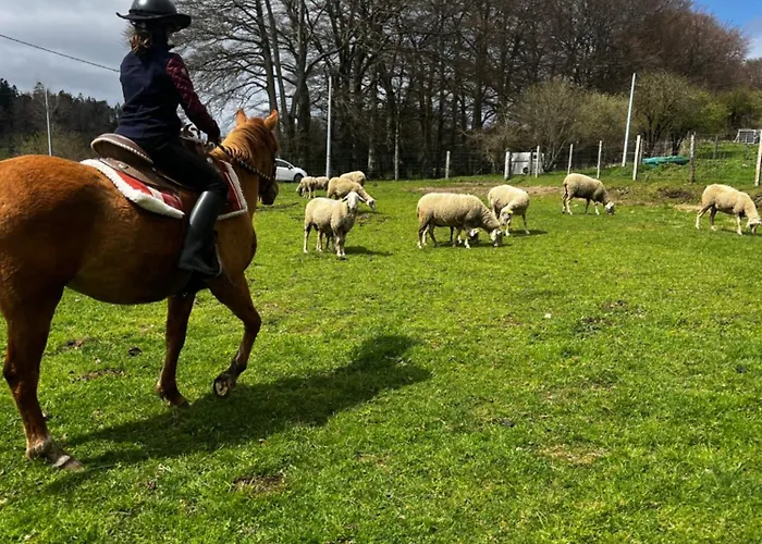 Landsted Ranch Du Haut-languedoc *